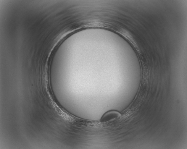 X0000052551000200507081604