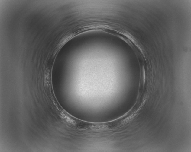 X0000052551001200507081604