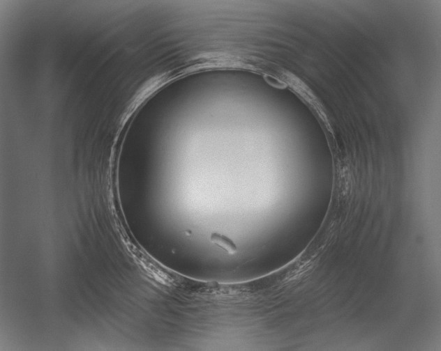 X0000052551002200507081604