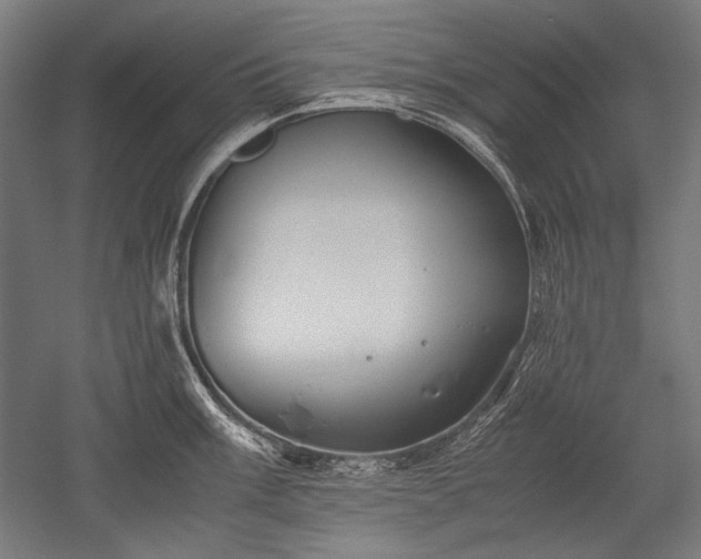 X0000052551003200507081604