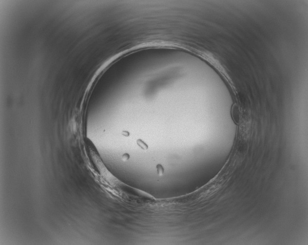 X0000052551004200507081604