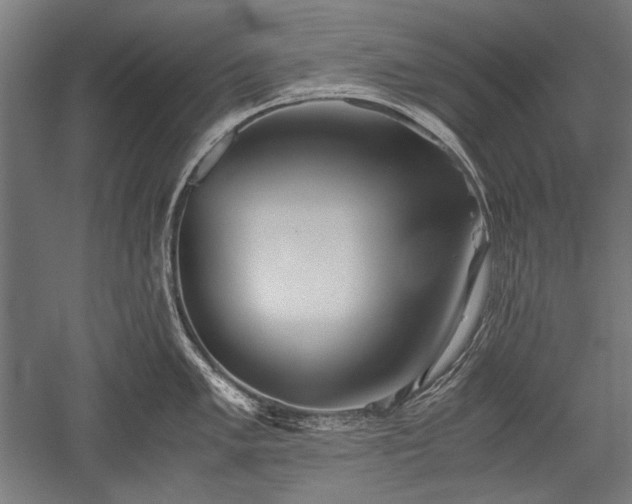 X0000052551005200507081604