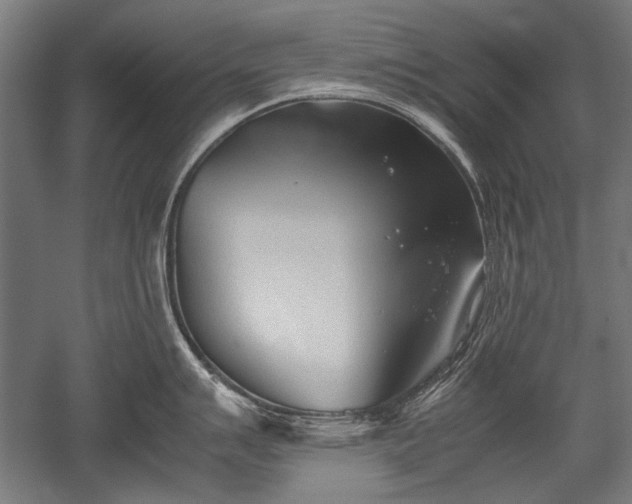 X0000052551007200507081604