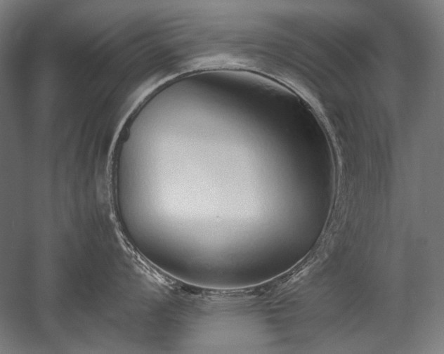 X0000052551008200507081604