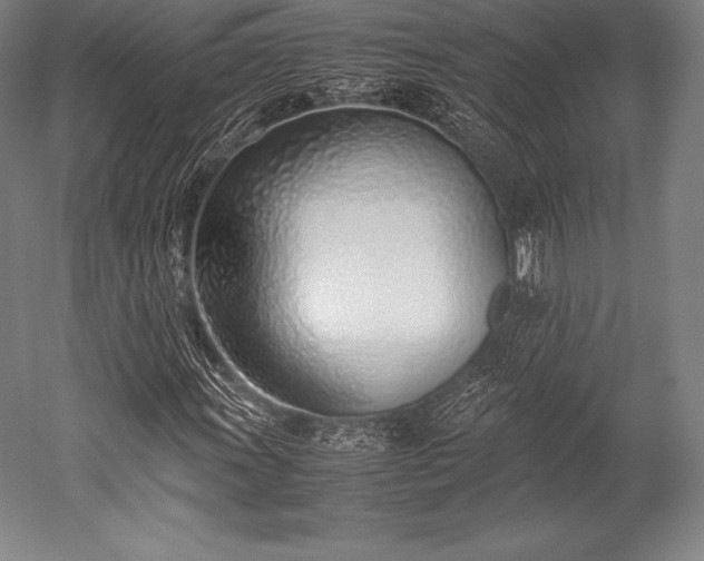 X0000052551011200507081604