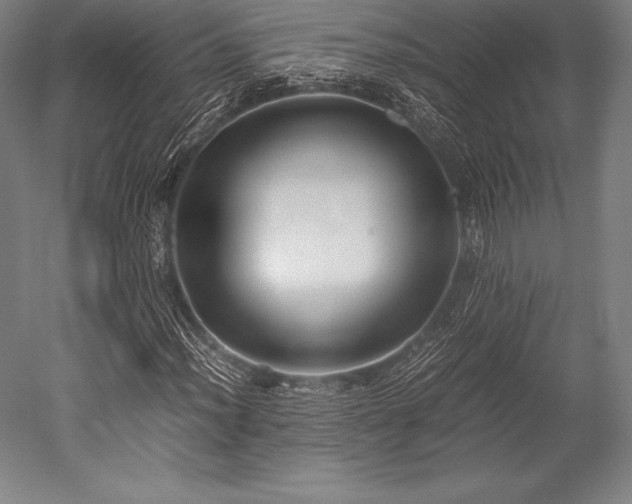 X0000052551012200507081604