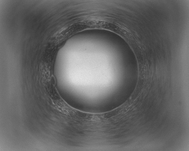 X0000052551013200507081604