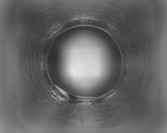 X0000052551014200507081604