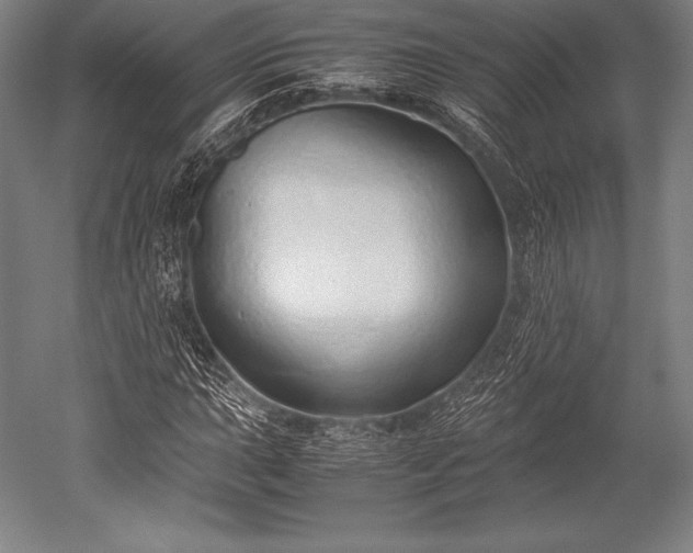 X0000052551015200507081604