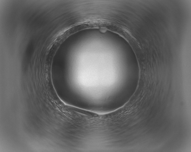 X0000052551016200507081604