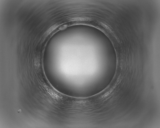 X0000052551017200507081604