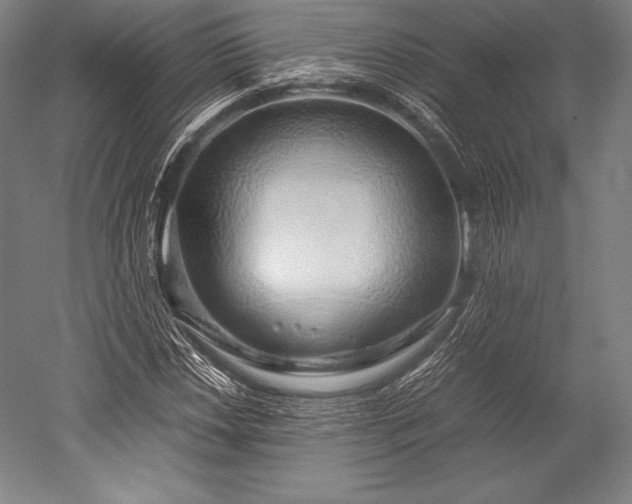 X0000052551018200507081604