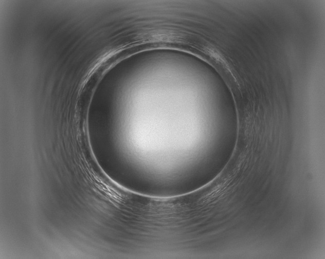 X0000052551019200507081604