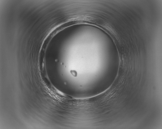 X0000052551020200507081604