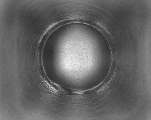 X0000052551021200507081604