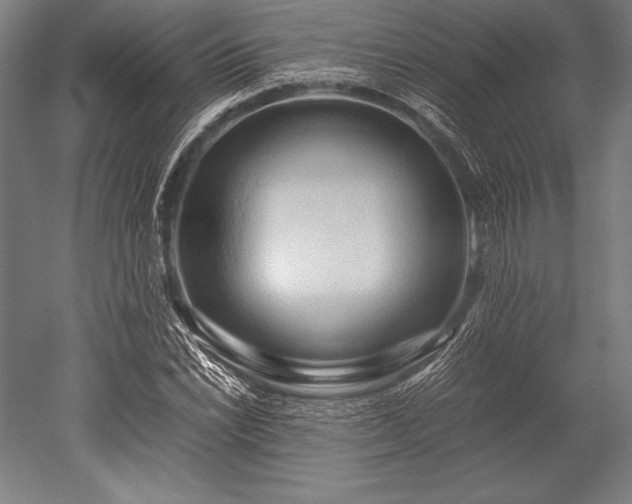 X0000052551022200507081604