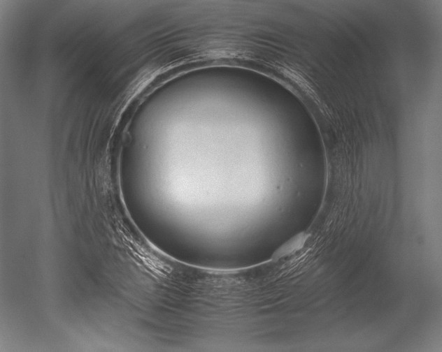 X0000052551023200507081604