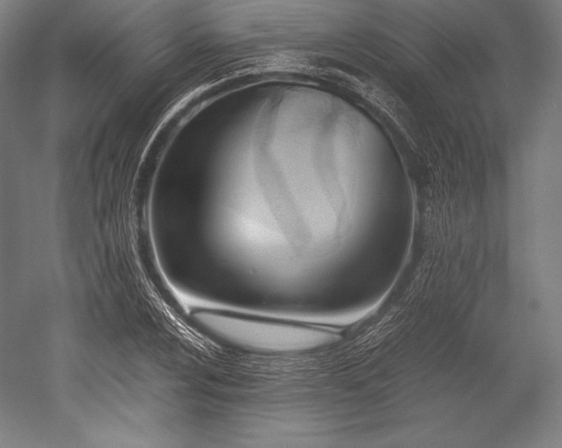 X0000052551024200507081604