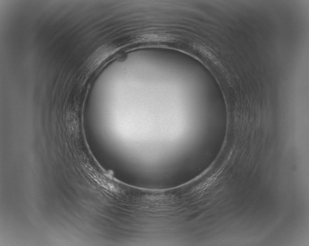 X0000052551025200507081604