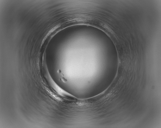 X0000052551026200507081604