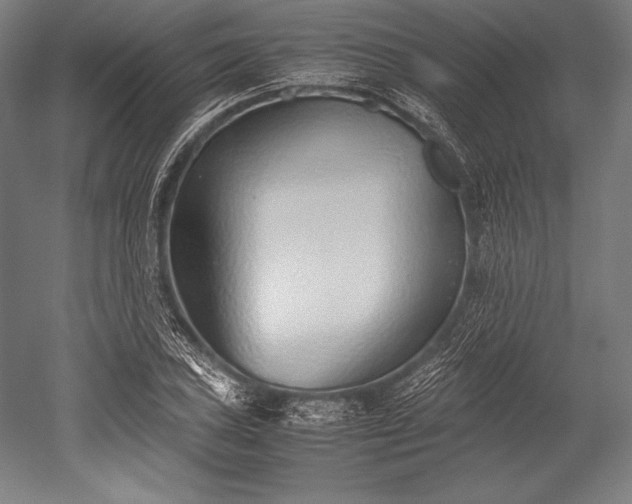 X0000052551027200507081604