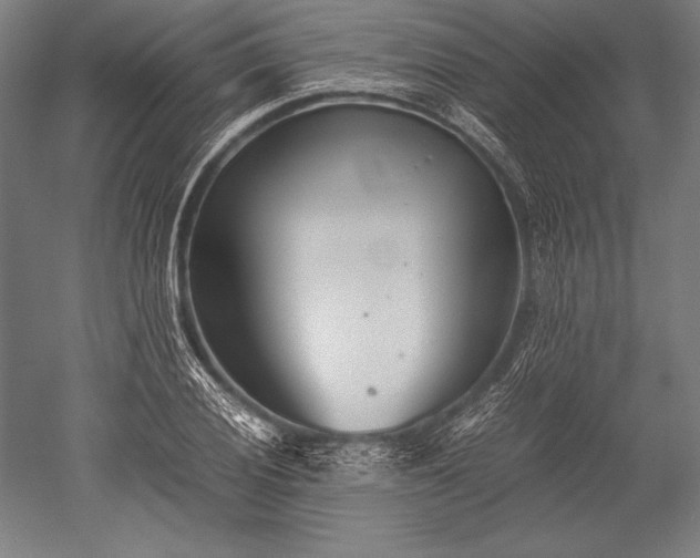 X0000052551028200507081604