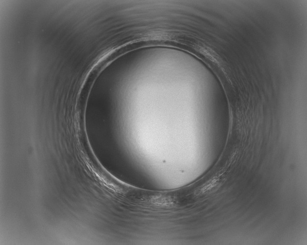 X0000052551029200507081604