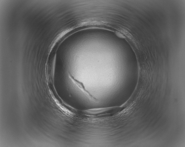 X0000052551030200507081604