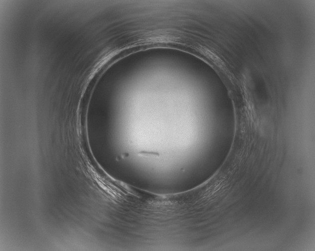 X0000052551031200507081604