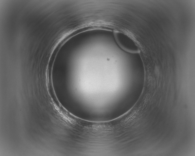 X0000052551032200507081604