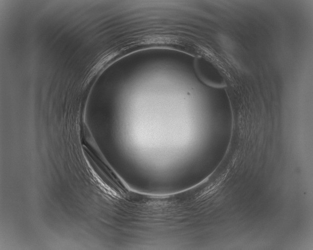 X0000052551033200507081604