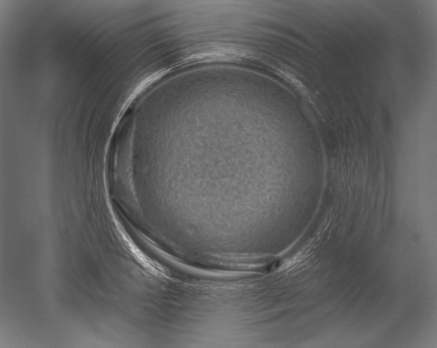 X0000052551034200507081604