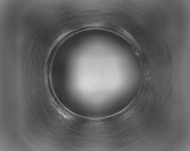 X0000052551035200507081604