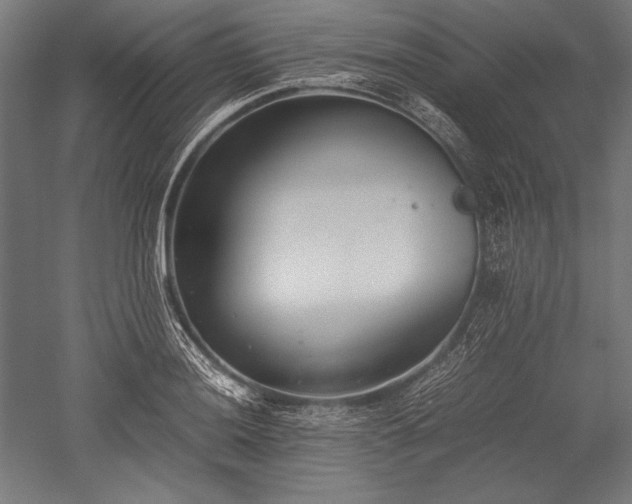 X0000052551036200507081604