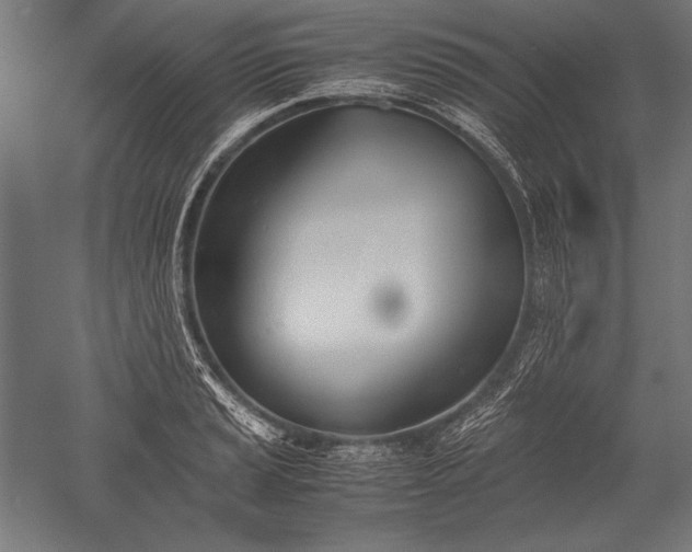 X0000052551037200507081604