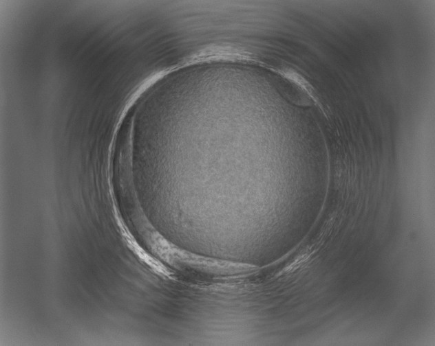 X0000052551038200507081604