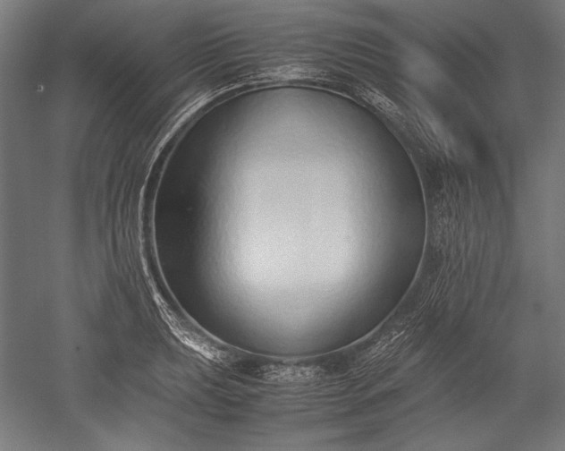 X0000052551039200507081604