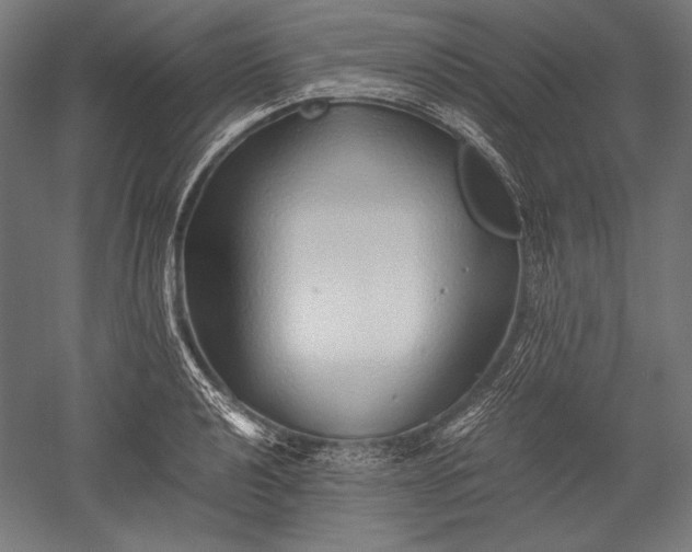 X0000052551040200507081604