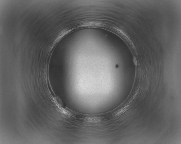 X0000052551041200507081604