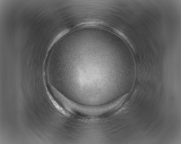 X0000052551042200507081604