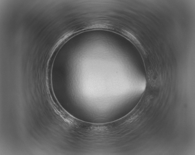 X0000052551043200507081604