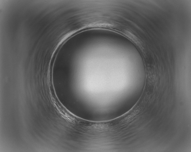 X0000052551044200507081604