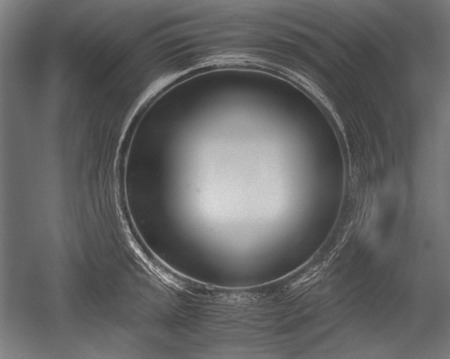 X0000052551045200507081604