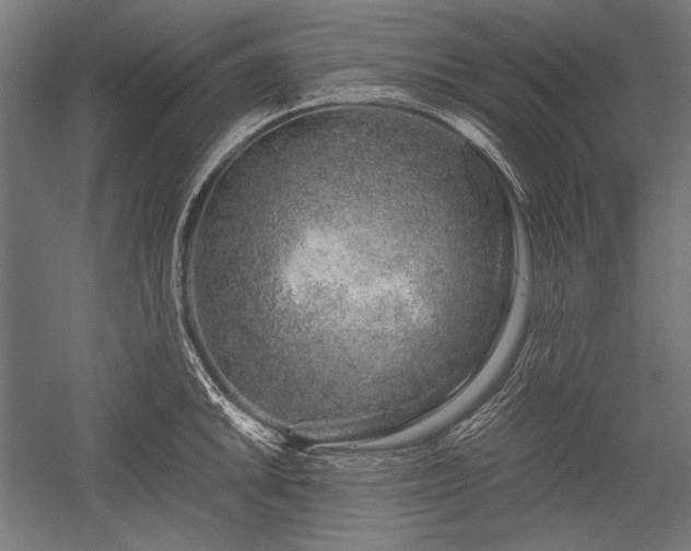 X0000052551046200507081604