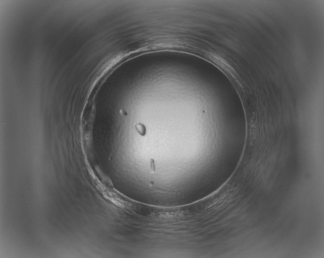 X0000052551047200507081604