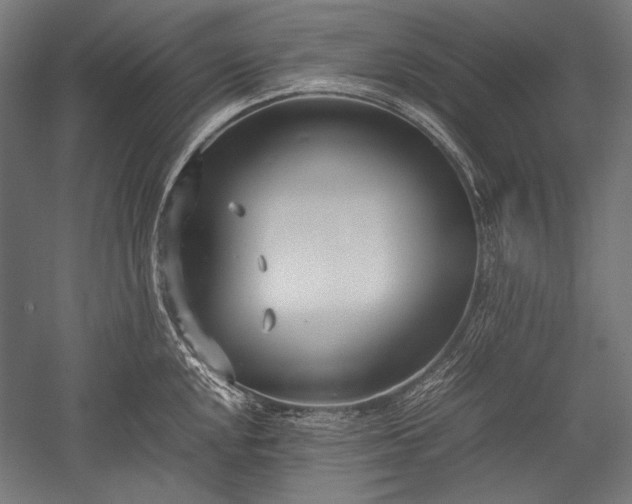 X0000052551048200507081604