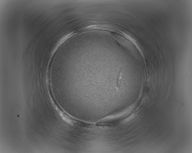 X0000052551050200507081604