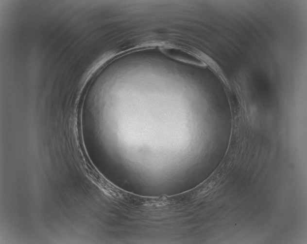 X0000052551051200507081604