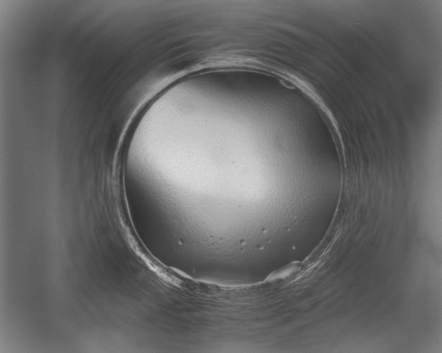 X0000052551053200507081604