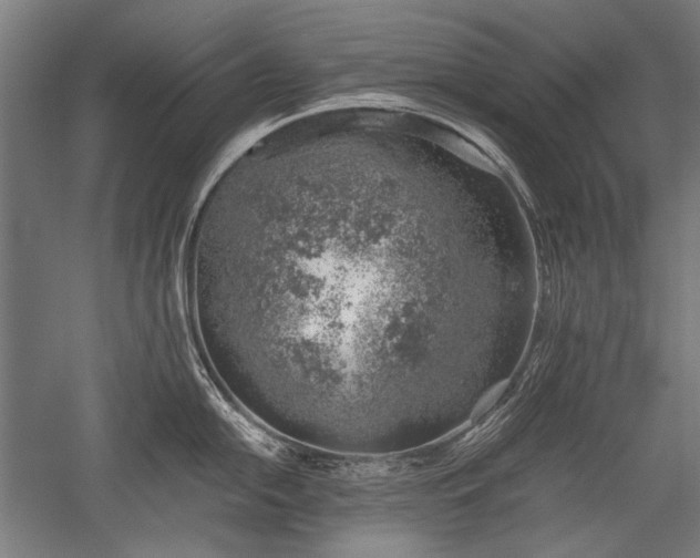 X0000052551054200507081604